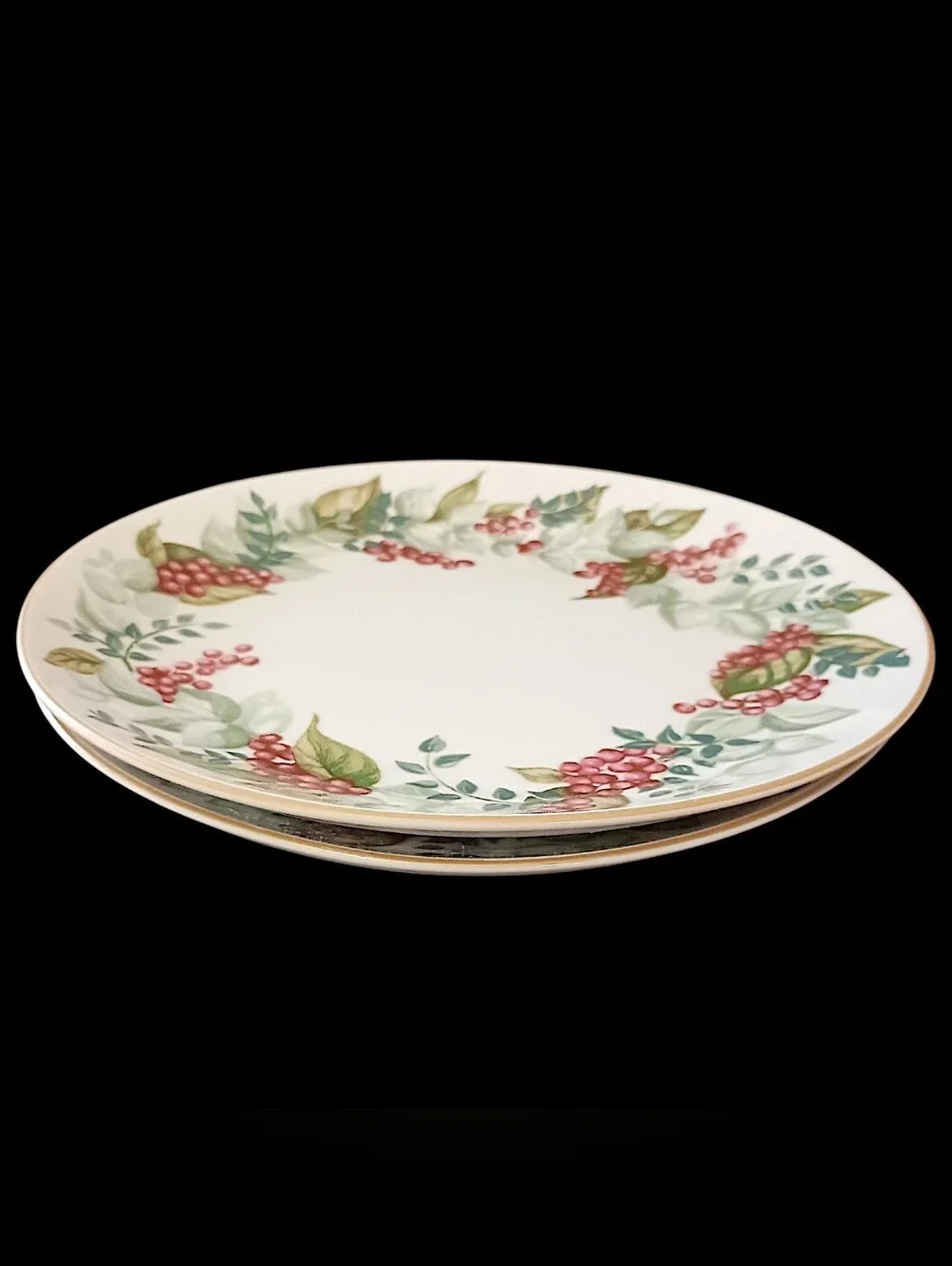 2 Restoration Hardware Festive Berry Plates Salad Side Christmas Botanical RH